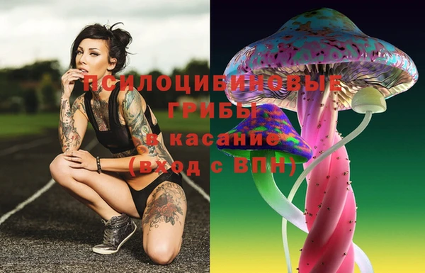 бутират Каменка