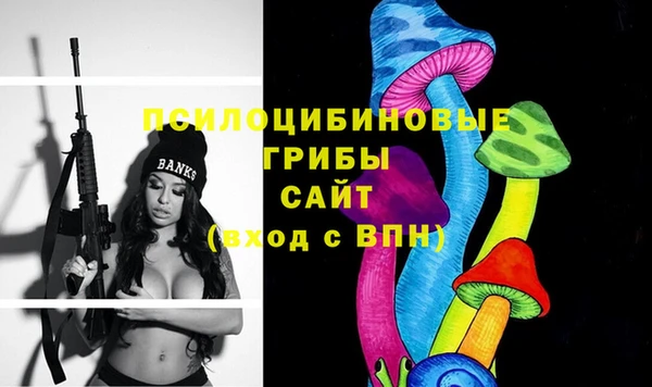 а пвп мука Инта