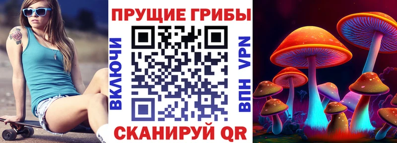 Псилоцибиновые грибы мухоморы  Купить закладки  Красный Кут 